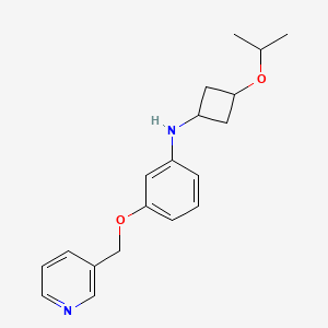 molecular formula C19H24N2O2 B6943402 N-(3-propan-2-yloxycyclobutyl)-3-(pyridin-3-ylmethoxy)aniline 