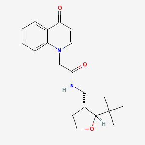 molecular formula C20H26N2O3 B6944704 N-[[(2S,3R)-2-tert-butyloxolan-3-yl]methyl]-2-(4-oxoquinolin-1-yl)acetamide 