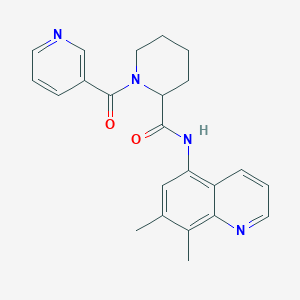 molecular formula C23H24N4O2 B6945858 N-(7,8-dimethylquinolin-5-yl)-1-(pyridine-3-carbonyl)piperidine-2-carboxamide 