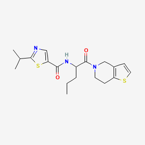molecular formula C19H25N3O2S2 B6946346 N-[1-(6,7-dihydro-4H-thieno[3,2-c]pyridin-5-yl)-1-oxopentan-2-yl]-2-propan-2-yl-1,3-thiazole-5-carboxamide 