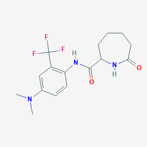 molecular formula C16H20F3N3O2 B6947509 N-[4-(dimethylamino)-2-(trifluoromethyl)phenyl]-7-oxoazepane-2-carboxamide 