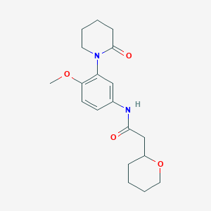 molecular formula C19H26N2O4 B6948153 N-[4-methoxy-3-(2-oxopiperidin-1-yl)phenyl]-2-(oxan-2-yl)acetamide 