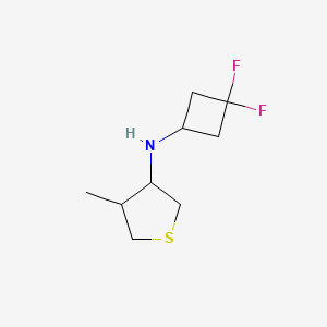 molecular formula C9H15F2NS B6948485 n-(3,3-Difluorocyclobutyl)-4-methylthiolan-3-amine 