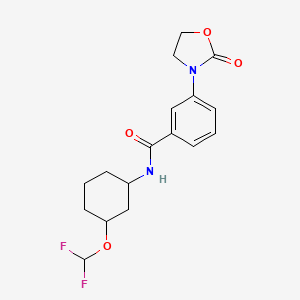 molecular formula C17H20F2N2O4 B6948893 N-[3-(difluoromethoxy)cyclohexyl]-3-(2-oxo-1,3-oxazolidin-3-yl)benzamide 