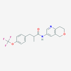molecular formula C19H19F3N2O3 B6949065 N-(7,8-dihydro-5H-pyrano[4,3-b]pyridin-3-yl)-2-methyl-3-[4-(trifluoromethoxy)phenyl]propanamide 