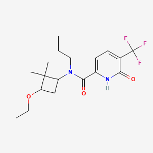 molecular formula C18H25F3N2O3 B6951841 N-(3-ethoxy-2,2-dimethylcyclobutyl)-6-oxo-N-propyl-5-(trifluoromethyl)-1H-pyridine-2-carboxamide 