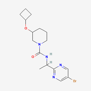 molecular formula C16H23BrN4O2 B6980926 N-[1-(5-bromopyrimidin-2-yl)ethyl]-3-cyclobutyloxypiperidine-1-carboxamide 