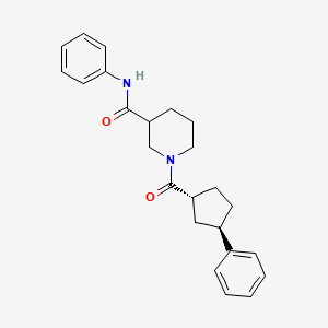 molecular formula C24H28N2O2 B6995718 N-phenyl-1-[(1R,3R)-3-phenylcyclopentanecarbonyl]piperidine-3-carboxamide 