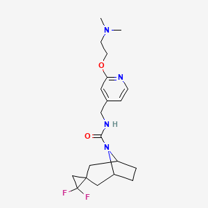 molecular formula C20H28F2N4O2 B6996068 N-[[2-[2-(dimethylamino)ethoxy]pyridin-4-yl]methyl]-1',1'-difluorospiro[8-azabicyclo[3.2.1]octane-3,2'-cyclopropane]-8-carboxamide 