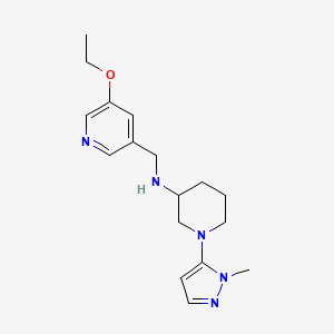 molecular formula C17H25N5O B7006232 N-[(5-ethoxypyridin-3-yl)methyl]-1-(2-methylpyrazol-3-yl)piperidin-3-amine 