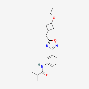 molecular formula C19H25N3O3 B7036077 N-[3-[5-[(3-ethoxycyclobutyl)methyl]-1,2,4-oxadiazol-3-yl]phenyl]-2-methylpropanamide 