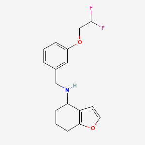 molecular formula C17H19F2NO2 B7042991 N-[[3-(2,2-difluoroethoxy)phenyl]methyl]-4,5,6,7-tetrahydro-1-benzofuran-4-amine 