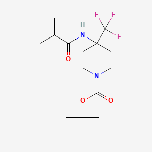 molecular formula C15H25F3N2O3 B7045079 Tert-butyl 4-(2-methylpropanoylamino)-4-(trifluoromethyl)piperidine-1-carboxylate 