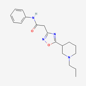 molecular formula C18H24N4O2 B7045305 N-phenyl-2-[5-(1-propylpiperidin-3-yl)-1,2,4-oxadiazol-3-yl]acetamide 