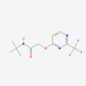 molecular formula C11H14F3N3O2 B7046339 N-tert-butyl-2-[2-(trifluoromethyl)pyrimidin-4-yl]oxyacetamide 