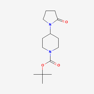 molecular formula C14H24N2O3 B7049052 Tert-butyl 4-(2-oxopyrrolidin-1-yl)piperidine-1-carboxylate 