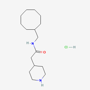 molecular formula C16H31ClN2O B7049187 N-(cyclooctylmethyl)-2-piperidin-4-ylacetamide;hydrochloride 