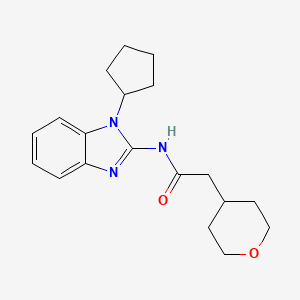 molecular formula C19H25N3O2 B7067279 N-(1-cyclopentylbenzimidazol-2-yl)-2-(oxan-4-yl)acetamide 