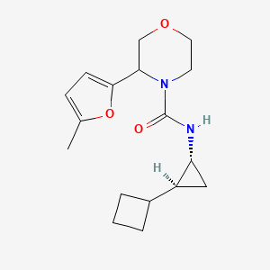 molecular formula C17H24N2O3 B7088303 N-[(1R,2S)-2-cyclobutylcyclopropyl]-3-(5-methylfuran-2-yl)morpholine-4-carboxamide 