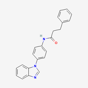 molecular formula C22H19N3O B7127598 N-[4-(benzimidazol-1-yl)phenyl]-3-phenylpropanamide 