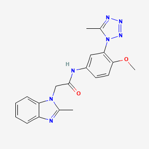 molecular formula C19H19N7O2 B7130013 N-[4-methoxy-3-(5-methyltetrazol-1-yl)phenyl]-2-(2-methylbenzimidazol-1-yl)acetamide 