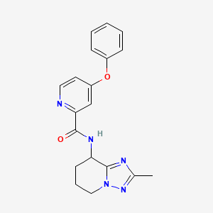 molecular formula C19H19N5O2 B7137754 N-(2-methyl-5,6,7,8-tetrahydro-[1,2,4]triazolo[1,5-a]pyridin-8-yl)-4-phenoxypyridine-2-carboxamide 