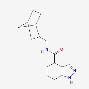 molecular formula C16H23N3O B7141870 N-(2-bicyclo[2.2.1]heptanylmethyl)-4,5,6,7-tetrahydro-1H-indazole-4-carboxamide 