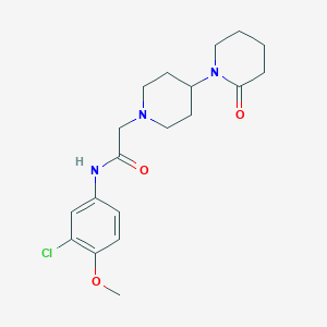 molecular formula C19H26ClN3O3 B7144813 N-(3-chloro-4-methoxyphenyl)-2-[4-(2-oxopiperidin-1-yl)piperidin-1-yl]acetamide 