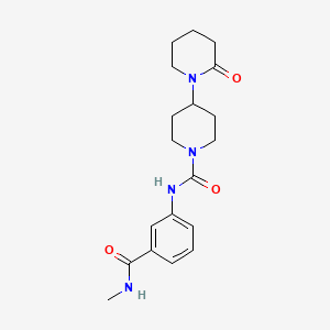molecular formula C19H26N4O3 B7144980 N-[3-(methylcarbamoyl)phenyl]-4-(2-oxopiperidin-1-yl)piperidine-1-carboxamide 