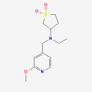 molecular formula C13H20N2O3S B7155152 N-ethyl-N-[(2-methoxypyridin-4-yl)methyl]-1,1-dioxothiolan-3-amine 