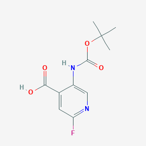 molecular formula C11H13FN2O4 B071567 5-((tert-Butoxycarbonyl)amino)-2-fluoroisonicotinic acid CAS No. 171178-42-0