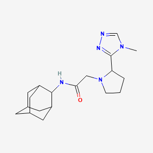 molecular formula C19H29N5O B7157141 N-(2-adamantyl)-2-[2-(4-methyl-1,2,4-triazol-3-yl)pyrrolidin-1-yl]acetamide 