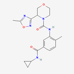 molecular formula C19H23N5O4 B7164280 N-[5-(cyclopropylcarbamoyl)-2-methylphenyl]-3-(5-methyl-1,2,4-oxadiazol-3-yl)morpholine-4-carboxamide 