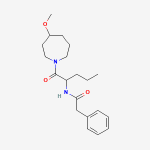 molecular formula C20H30N2O3 B7167090 N-[1-(4-methoxyazepan-1-yl)-1-oxopentan-2-yl]-2-phenylacetamide 