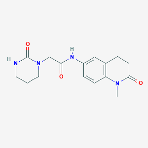 molecular formula C16H20N4O3 B7171327 N-(1-methyl-2-oxo-3,4-dihydroquinolin-6-yl)-2-(2-oxo-1,3-diazinan-1-yl)acetamide 