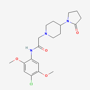 molecular formula C19H26ClN3O4 B7171507 N-(4-chloro-2,5-dimethoxyphenyl)-2-[4-(2-oxopyrrolidin-1-yl)piperidin-1-yl]acetamide 