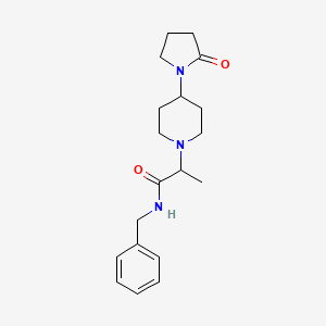molecular formula C19H27N3O2 B7171520 N-benzyl-2-[4-(2-oxopyrrolidin-1-yl)piperidin-1-yl]propanamide 
