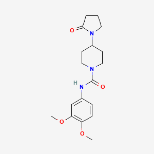 molecular formula C18H25N3O4 B7171643 N-(3,4-dimethoxyphenyl)-4-(2-oxopyrrolidin-1-yl)piperidine-1-carboxamide 