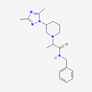 molecular formula C19H27N5O B7171980 N-benzyl-2-[3-(3,5-dimethyl-1,2,4-triazol-1-yl)piperidin-1-yl]propanamide 