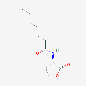 molecular formula C11H19NO3 B071747 N-Heptanoylhomoserine lactone CAS No. 177158-20-2