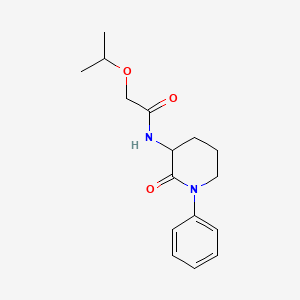 molecular formula C16H22N2O3 B7177428 N-(2-oxo-1-phenylpiperidin-3-yl)-2-propan-2-yloxyacetamide 