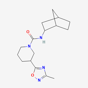 molecular formula C16H24N4O2 B7182232 N-(2-bicyclo[2.2.1]heptanyl)-3-(3-methyl-1,2,4-oxadiazol-5-yl)piperidine-1-carboxamide 