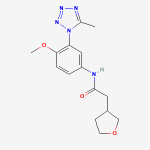 molecular formula C15H19N5O3 B7182312 N-[4-methoxy-3-(5-methyltetrazol-1-yl)phenyl]-2-(oxolan-3-yl)acetamide 