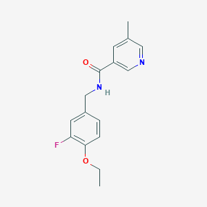 molecular formula C16H17FN2O2 B7187046 N-[(4-ethoxy-3-fluorophenyl)methyl]-5-methylpyridine-3-carboxamide 