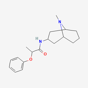 molecular formula C18H26N2O2 B7187171 N-(9-methyl-9-azabicyclo[3.3.1]nonan-3-yl)-2-phenoxypropanamide 