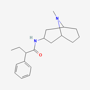 molecular formula C19H28N2O B7187200 N-(9-methyl-9-azabicyclo[3.3.1]nonan-3-yl)-2-phenylbutanamide 