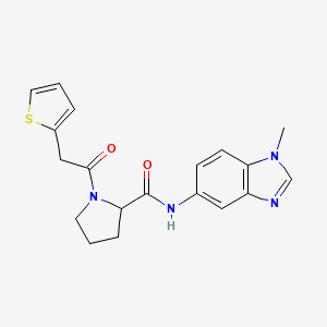 molecular formula C19H20N4O2S B7188832 N-(1-methylbenzimidazol-5-yl)-1-(2-thiophen-2-ylacetyl)pyrrolidine-2-carboxamide 