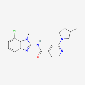 molecular formula C19H20ClN5O B7197234 N-(7-chloro-1-methylbenzimidazol-2-yl)-2-(3-methylpyrrolidin-1-yl)pyridine-4-carboxamide 