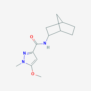 molecular formula C13H19N3O2 B7198770 N-(2-bicyclo[2.2.1]heptanyl)-5-methoxy-1-methylpyrazole-3-carboxamide 