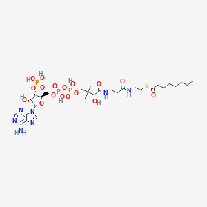molecular formula C29H50N7O17P3S B072004 capryloyl-CoA CAS No. 1264-52-4